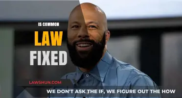 Common Law: Ever-Changing or Fixed?