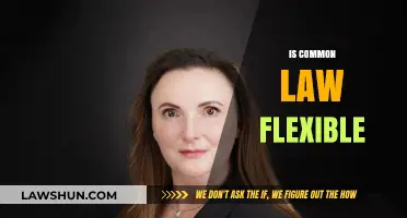 Common Law: Flexibility and Evolution