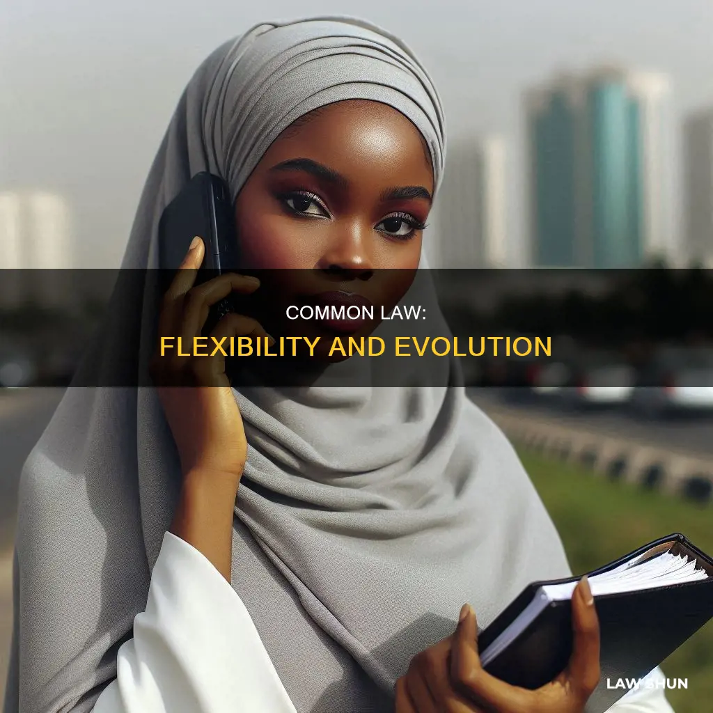 is common law flexible