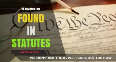 The Evolution of Common Law and Statutes