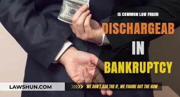 Fraud and Bankruptcy: Can You Discharge Common Law Fraud?