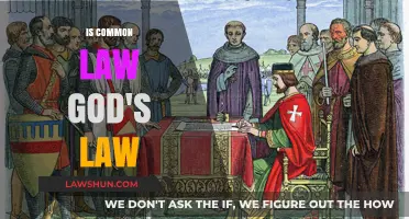 Common Law: God's Law or Man's Law?