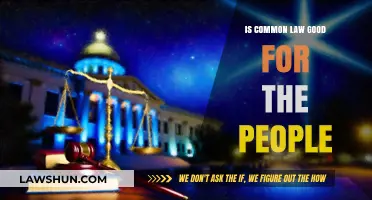 Common Law: A Fair System for the People?