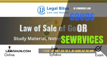 Common Law: Goods and Services Explained