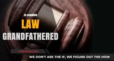Common Law and Grandfathering: What's the Legal Verdict?