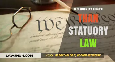 Common Law vs Statutory Law: Which is Supreme?