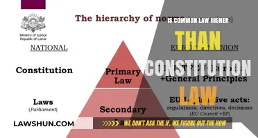 Common Law vs Constitutional Law: Which is Supreme?