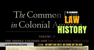 Common Law History: Understanding Legal Evolution