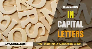 Common Law: Capitalization Rules Explained