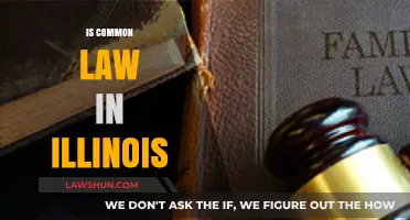 Illinois Common Law: What You Need to Know