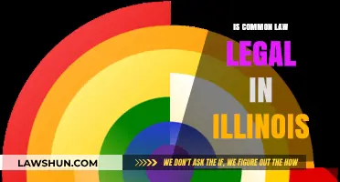 Common-Law Marriage Legality in Illinois
