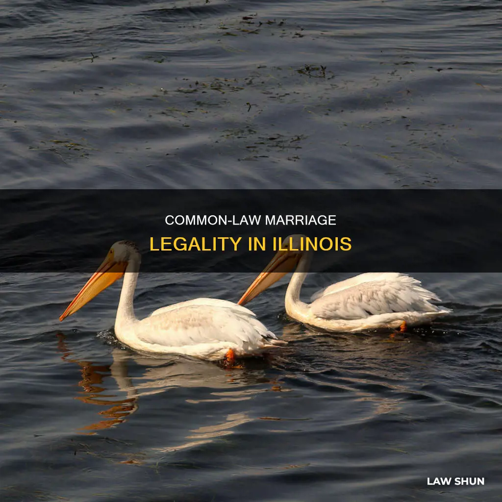 is common law legal in illinois