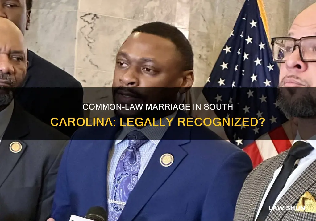 is common law legal in sc