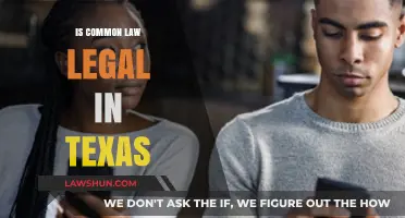 Common Law in Texas: Is It Legal?