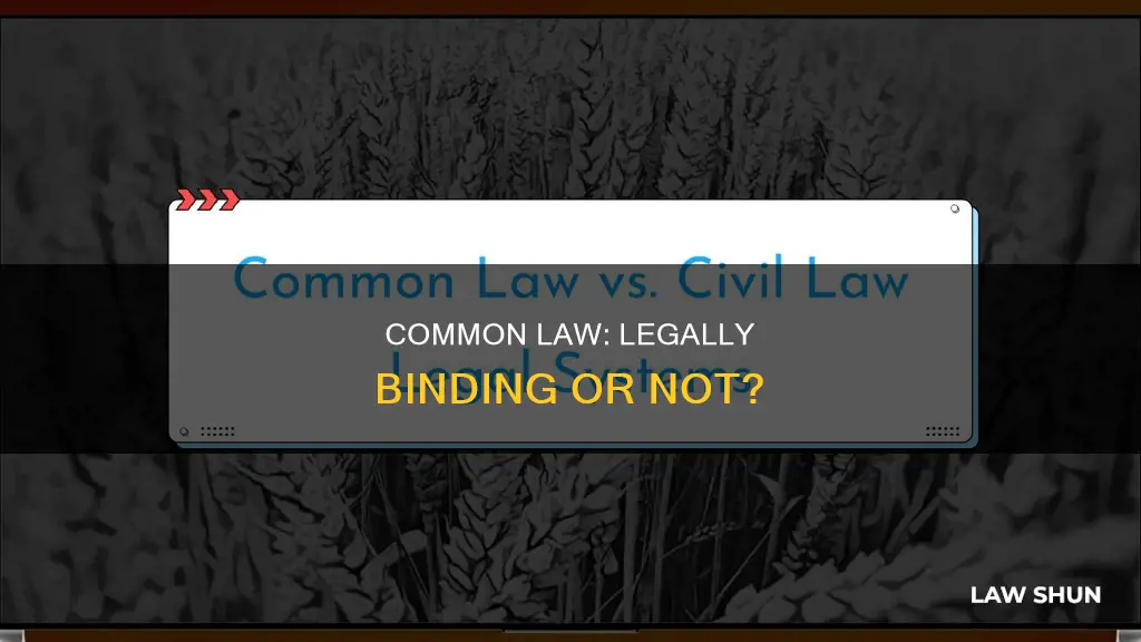 is common law legal