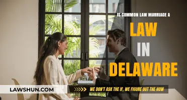 Delaware's Stance on Common Law Marriage