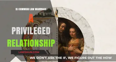 Common-Law Marriage: Privilege or Equality?