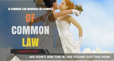 Common Law Marriage: Common Law's Offspring?