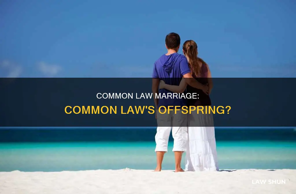is common law marriage an example of common law