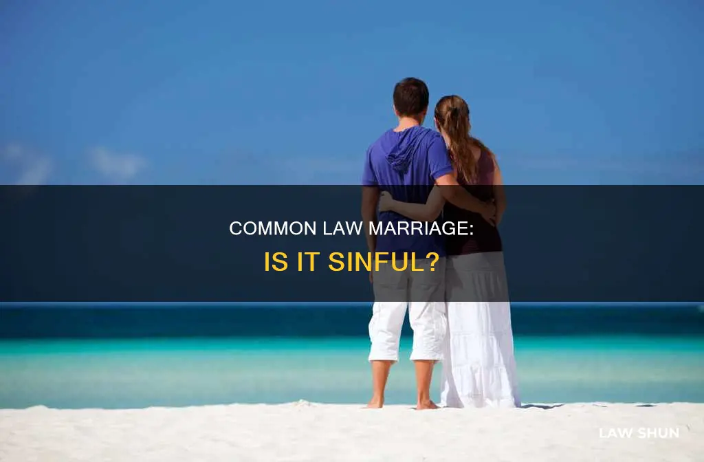 is common law marriage fornication