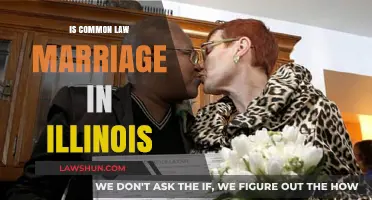 Illinois Common Law Marriage: What's the Law?
