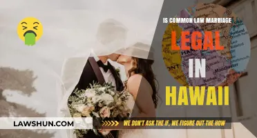 Hawaii's Stance on Common Law Marriage