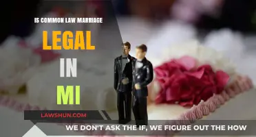 Common Law Marriage: Legality in Michigan