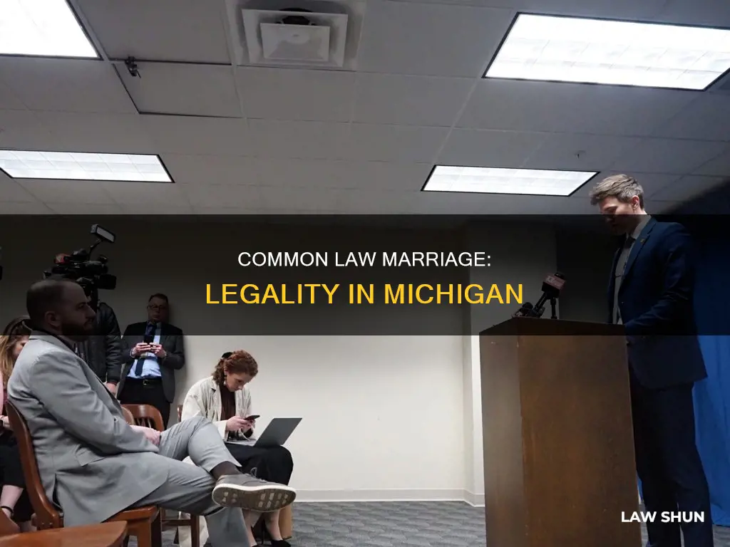 is common law marriage legal in mi