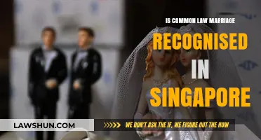 Common Law Marriage: Singapore's Legal Recognition