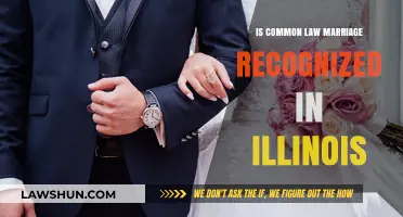 Common Law Marriage: Illinois' Stance Explained
