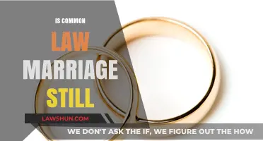 Common Law Marriage: Still Recognized or Relic of the Past?