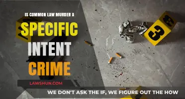 Murder and Intent: Common Law's Specificity