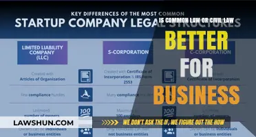 Civil Law vs Common Law: Business Impact