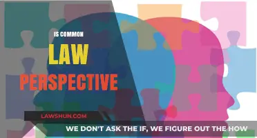 Common Law: A Historical Perspective