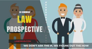 Common Law: Prospective or Retrospective?