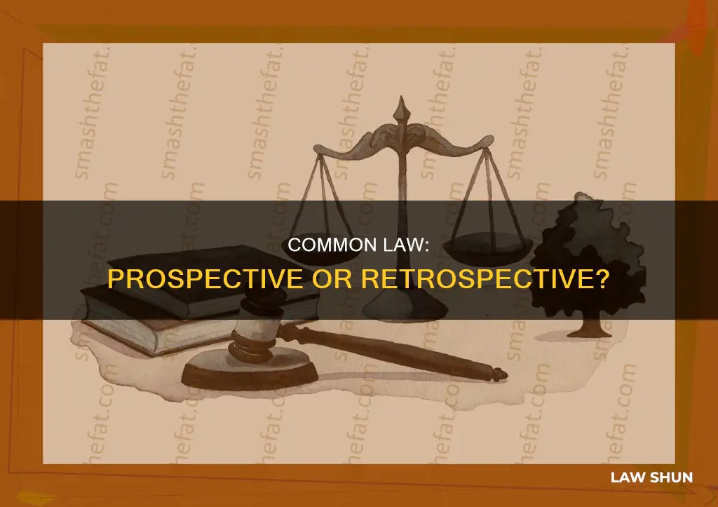 is common law prospective