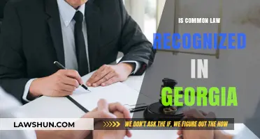 Common Law in Georgia: Recognized or Not?
