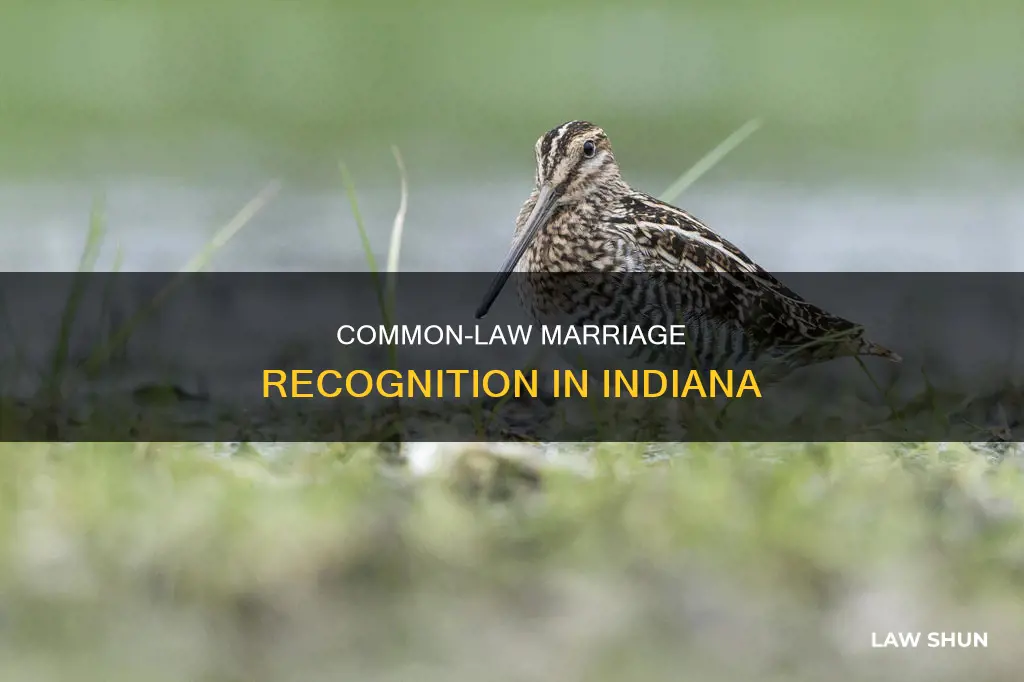 is common law recognized in indiana