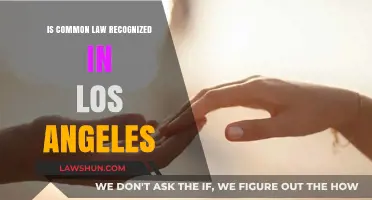 Common Law in LA: Recognized or Not?