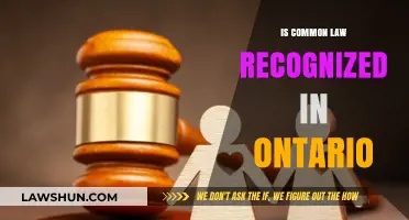 Common-Law Relationships in Ontario: Legally Recognized?