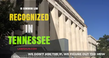 Common Law in Tennessee: Recognized or Not?