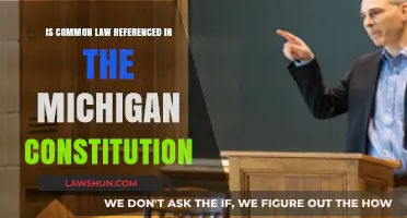 Common Law's Place in Michigan's Constitution