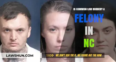 Robbery Charges in North Carolina: Felony or Misdemeanor?