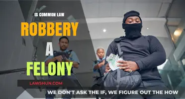 Robbery Law: Felony or Misdemeanor?