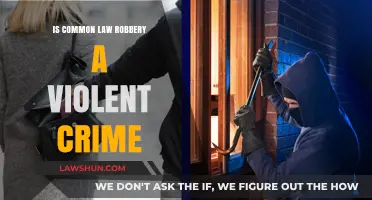 Robbery and Violence: Common Law's Take