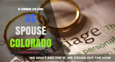 Common-Law Marriage: Colorado's Spousal Rights