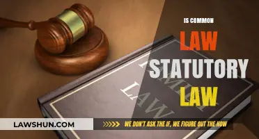 What's the Difference Between Common and Statutory Law?