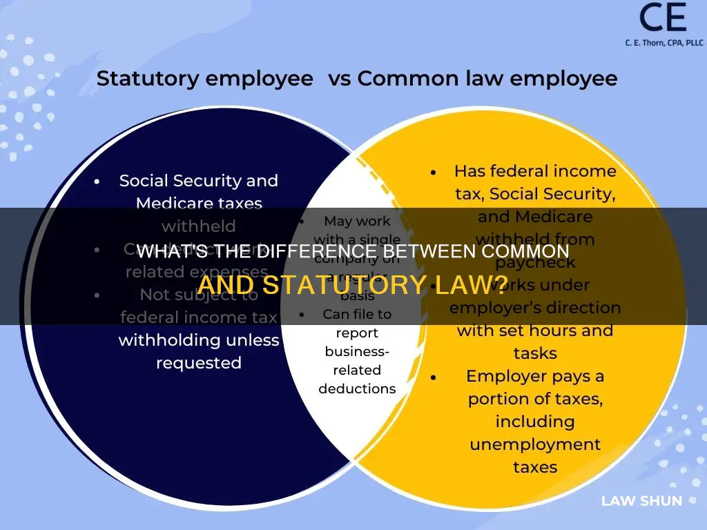 is common law statutory law
