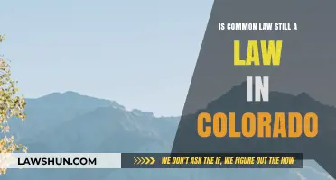 Common Law in Colorado: Still Relevant?