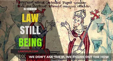 Common Law: Still Relevant Today?